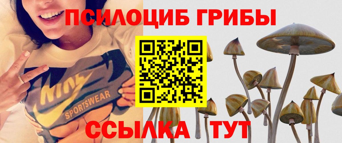 Псилоцибиновые грибы Cubensis  как найти закладки  Галлюциногенные грибы Psilocybine cubensis  Костомукша  Вход с VPN 